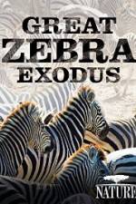 Watch Nature: Great Zebra Exodus Fmovies