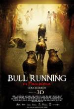 Watch Encierro 3D: Bull Running in Pamplona Fmovies