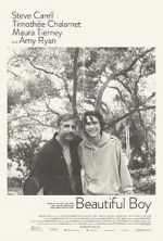 Watch Beautiful Boy Fmovies