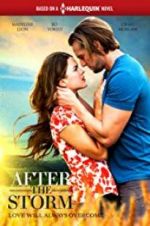 Watch After the Storm Fmovies