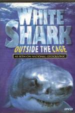 Watch National Geographic white shark:outside the cage Fmovies