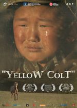 Watch Yellow Colt Fmovies