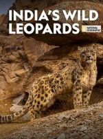 Watch India\'s Wild Leopards (Short 2020) Fmovies