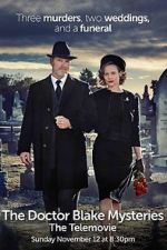 Watch The Doctor Blake Mysteries: Family Portrait Fmovies