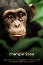 Watch Chimpanzee Fmovies