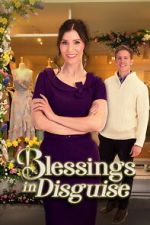 Watch Blessings in Disguise Fmovies