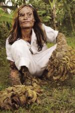 Watch Treeman Search for the Cure Fmovies