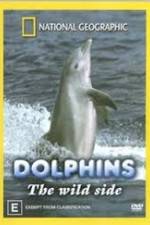 Watch Dolphins: The Wild Side Fmovies