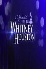 Watch We Will Always Love You A Grammy Salute to Whitney Houston Fmovies