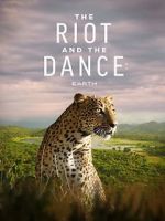 Watch The Riot and the Dance Fmovies