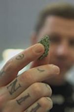 Watch Professor Green: Is It Time to Legalise Weed? Fmovies