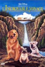 Watch Homeward Bound: The Incredible Journey Fmovies