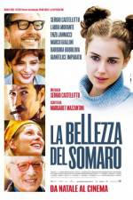Watch La bellezza del somaro Fmovies
