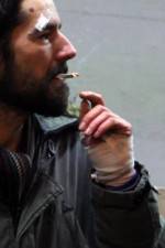 Watch Into the Night Fmovies