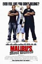Watch Malibu's Most Wanted Fmovies