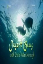 Watch National Geographic Desert Seas Fmovies