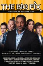Watch The Big Fix Fmovies