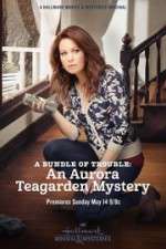 Watch A Bundle of Trouble: An Aurora Teagarden Mystery Fmovies