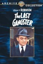 Watch The Last Gangster Fmovies