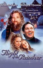 Watch The Christmas Secret Fmovies