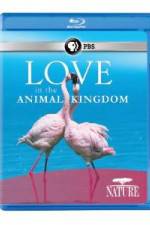 Watch Nature: Love in the Animal Kingdom Fmovies
