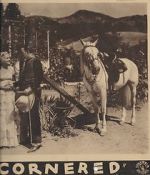 Watch Cornered Fmovies