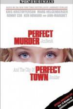 Watch Perfect Murder Perfect Town JonBenet and the City of Boulder Fmovies
