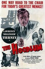 Watch The Hoodlum Fmovies