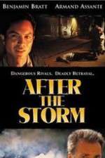 Watch After the Storm Fmovies