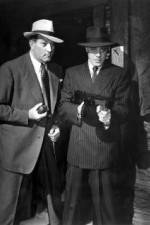 Watch No Orchids for Miss Blandish Fmovies