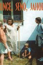 Watch Slunce, seno, jahody Fmovies