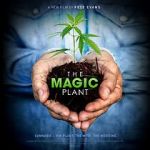 Watch The Magic Plant Fmovies