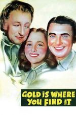 Watch Gold Is Where You Find It Fmovies