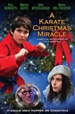 Watch A Karate Christmas Miracle Fmovies