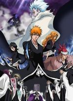 Watch Bleach the Movie 2: The Diamond Dust Rebellion Fmovies