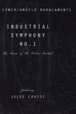 Watch Industrial Symphony No 1 The Dream of the Brokenhearted Fmovies