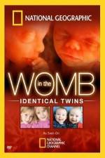 Watch National Geographic: In the Womb - Identical Twins Fmovies