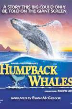 Watch Humpback Whales Fmovies