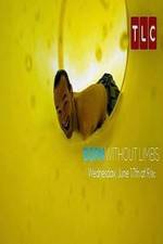 Watch Born Without Limbs Fmovies