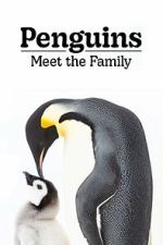 Watch Penguins: Meet the Family Fmovies