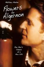 Watch Flowers for Algernon Fmovies