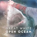 Watch Great White Open Ocean Fmovies