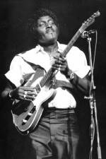 Watch Albert Collins in Concert Fmovies