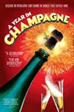 Watch A Year in Champagne Fmovies