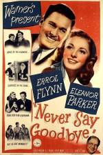 Watch Never Say Goodbye Fmovies