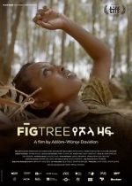 Watch Fig Tree Fmovies