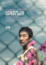 Watch Under the Open Sky Fmovies