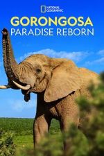 Watch Gorongosa: Paradise Reborn (Short 2022) Fmovies