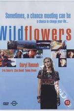 Watch Wildflowers Fmovies