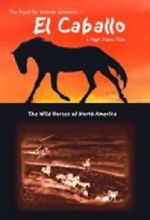 Watch El Caballo: The Wild Horses of North America Fmovies